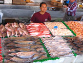 أسعار الأسماك اليوم الثلاثاء 24/2/2015
