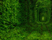 اختيار "نفق العشاق" ضمن أفضل الكنوز المخبأة فى دول الاتحاد الأوروبى