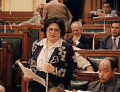 حجز دعوى لبنة ضد سعد الدين إبراهيم لمايو المقبل