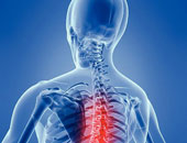 الخضراوات والفاكهة تحمى من الإصابة بالتهاب النخاع الشوكى فى سن اليأس