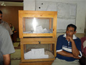 نقل انتخابات معلمى السنبلاوين إلى مركز الشرطة