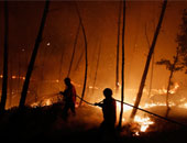 رجال الإطفاء يحاولون إخماد حرائق غابات فى أستراليا