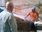 ضبط 3225 طن علف حيوانى و5692 طن قمح أوكرانى به حشرات بالإسكندرية