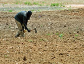 الزراعة تقنن 200 ألف فدان لواضعى اليد من الأفراد بـ5 محافظات