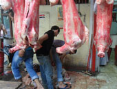 "الخدمات البيطرية" تشن حملات رقابية على 480 مجزرا للحوم.. اعرف التفاصيل