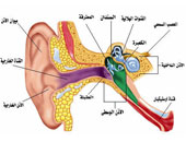 ما هو تصلب عظمة الركاب بالأذن؟