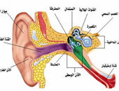 تبادل سماعات الأذن وغطاء الرأس عادات خاطئة تسبب الإصابة بعدوى الأذن