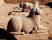 مدير الآثار السودانى يؤكد وجود تواصل حضارى بين بلاده ومصر