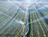 "الزراعة": تطبيق مشروع الرى الحقلى بـ10 محافظات ونستهدف 250 ألف فدان