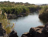 مدير محميات البحر الأحمر: فتح المحميات أمام المعيدين مجانا خلال أيام عيد الاضحى