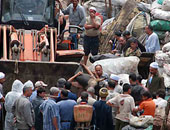 هل تستطيع وزارة الصحة السيطرة على فيروس أنفلونزا الخنازير أثناء الموسم الدراسى؟