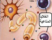 عقار الإنترفيرون لم يعالج الفيروس ماذا أفعل؟