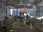 تحرير 17 مخالفة إعلان تسعيرة وبيع بأزيد من الأسعار المقررة بدمياط