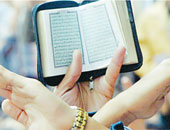 هل يمكن استيعاب «الإخوان» فى الحياة السياسية؟