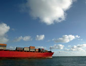 تسرب أكثر من ألف طن زيت وقود من سفينة شحن يابانية قبالة جزيرة موريشيوس