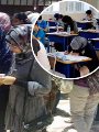 امتحانات الدبلومات أرشيفية امتحانات الدبلومات أرشيفية