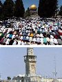 المسجد الاقصى المبارك المسجد الاقصى المبارك