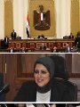 الدكتوره هاله زايد وزيره الصحه ومجلس النواب الدكتوره هاله زايد وزيره الصحه ومجلس النواب