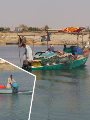 الصيادين بعد نزولهم للصيد ببحيرة ناصر الصيادين بعد نزولهم للصيد ببحيرة ناصر