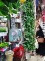 زنقة الستات زنقة الستات