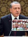 أردوغان وتميم بن حمد أردوغان وتميم بن حمد