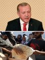 أردوغان وتراجع الليرة أردوغان وتراجع الليرة
