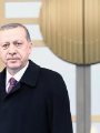 أردوغان وتميم أردوغان وتميم