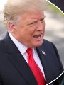 الرئيس الأمريكى - دونالد ترامب الرئيس الأمريكى - دونالد ترامب