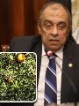 الدكتور عز الدين أبوستيت وزير الزراعة واستصلاح الأراضى الدكتور عز الدين أبوستيت وزير الزراعة واستصلاح الأراضى