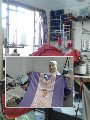 مشروعات الشباب قطار التنمية مشروعات الشباب قطار التنمية