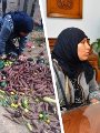 محافظ دمياط تعيد حق "بائعة الخضار" محافظ دمياط تعيد حق "بائعة الخضار"