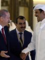 تميم بن حمد ورجب طيب اردوغان تميم بن حمد ورجب طيب اردوغان