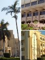 الجامعات تستعد لبدء العام الدراسى الجديد الجامعات تستعد لبدء العام الدراسى الجديد