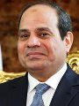 الرئيس السيسى والمستشار النمساوى الرئيس السيسى والمستشار النمساوى