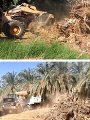 الوادى الجديد تحول مخلفات النخيل إلى كنوز بيئية الوادى الجديد تحول مخلفات النخيل إلى كنوز بيئية