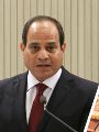 الرئيس عبد الفتاح السيسى والهجرة غير الشرعية الرئيس عبد الفتاح السيسى والهجرة غير الشرعية