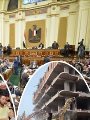 مجلس النواب مجلس النواب