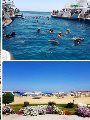 البحر الأحمر البحر الأحمر