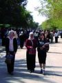الجامعات والمدارس فى حماية الشرطة الجامعات والمدارس فى حماية الشرطة
