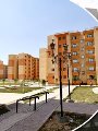 سبتمبر شهر الخير.. "الإسكان" تفى بوعودها وتعلن تفاصيل أكبر طرح للأراضى والوحدات.. بدأت بـ2000 قطعة أرض مميزة وأكثر تميزا بـ12 مدينة جديدة.. الإعلان عن حجز مرحلة جديدة لـ"سكن مصر وجنة".. بدء تسكين 1008 أسر ببدر سبتمبر شهر الخير.. "الإسكان" تفى بوعودها وتعلن تفاصيل أكبر طرح للأراضى والوحدات.. بدأت بـ2000 قطعة أرض مميزة وأكثر تميزا بـ12 مدينة جديدة.. الإعلان عن حجز مرحلة جديدة لـ"سكن مصر وجنة".. بدء تسكين 1008 أسر ببدر