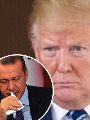 أردوغان وترامب أردوغان وترامب