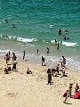 شواطئ الإسكندرية "بلا أسوار" رغم الإجراءات الاحترازية شواطئ الإسكندرية "بلا أسوار" رغم الإجراءات الاحترازية