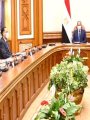 الرئيس عبد الفتاح السيسى فى اجتماع الحكومة الرئيس عبد الفتاح السيسى فى اجتماع الحكومة