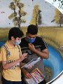 طلاب الثانوية العامة طلاب الثانوية العامة