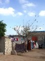 أعمال التطوير بمبادرة حياة كريمة أعمال التطوير بمبادرة حياة كريمة