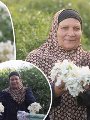 قرية بلولة مملكة الياسمين قرية بلولة مملكة الياسمين
