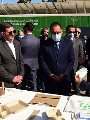 الدكتور مصطفي مدبولي رئيس مجلس الوزراء الدكتور مصطفي مدبولي رئيس مجلس الوزراء
