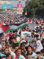 مظاهرات في مصر لدعم فلسطين 