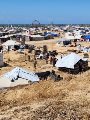 مخيمات غزة 