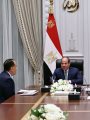 الرئيس السيسى خلال الاجتماع